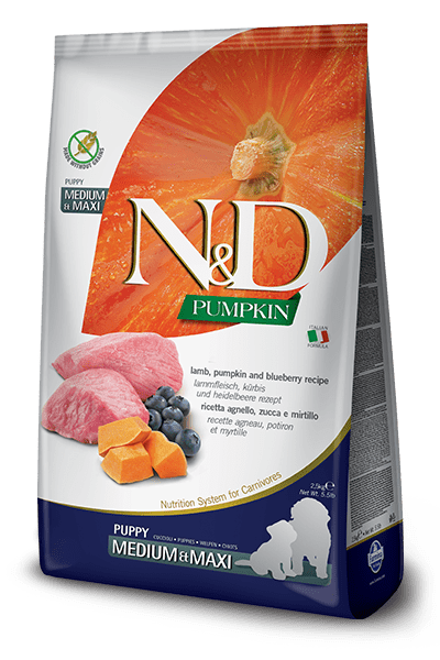 Pumpkin Lamb & Blueberry puppy medium/maxi 2.5կգ