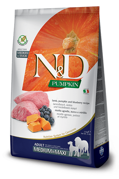 Pumpkin Lamb & Blueberry adult medium/maxi 12կգ