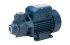 Surface pump  MARQUIS MKP 80-1 (750 Вт)